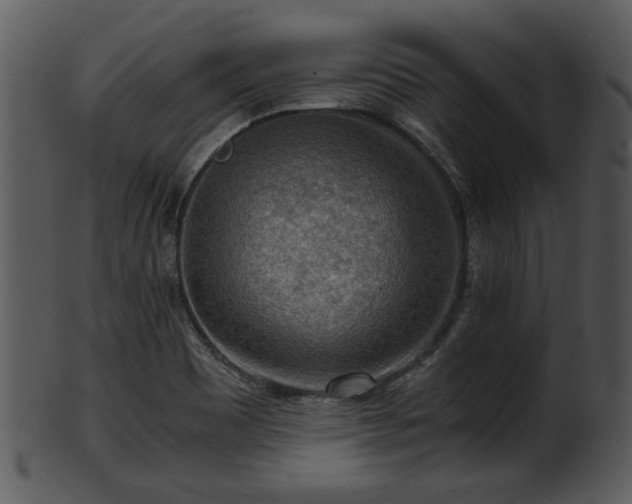 X0000101411465200807141120