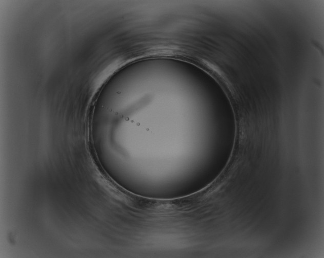 X0000101411467200807141120