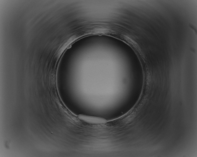 X0000101411473200807141120