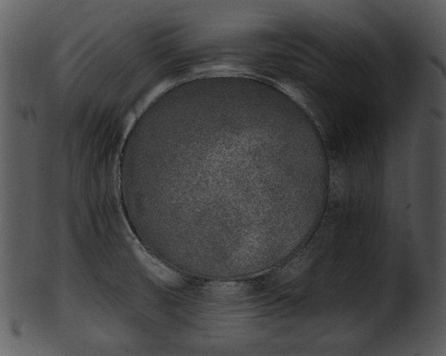 X0000101411474200807141120