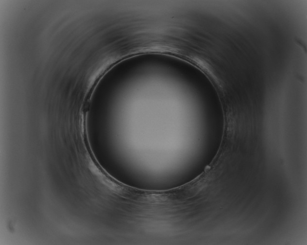 X0000101411476200807141120