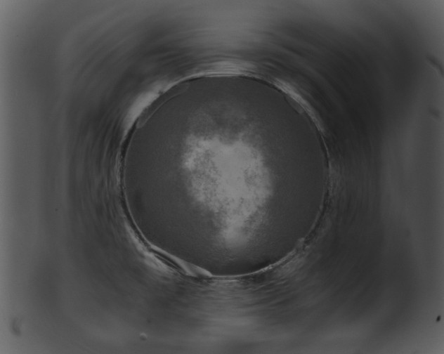 X0000101411477200807141120
