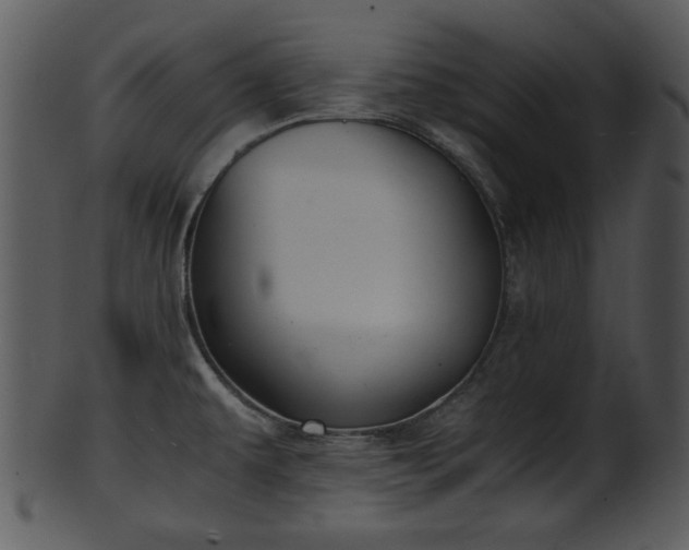 X0000101411479200807141120