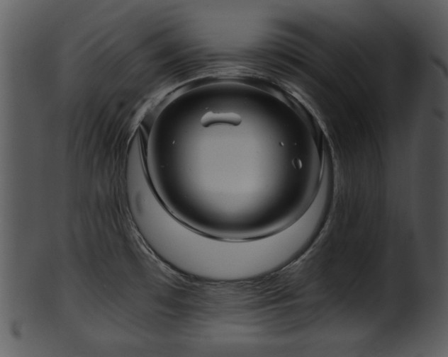 X0000101411481200807141120