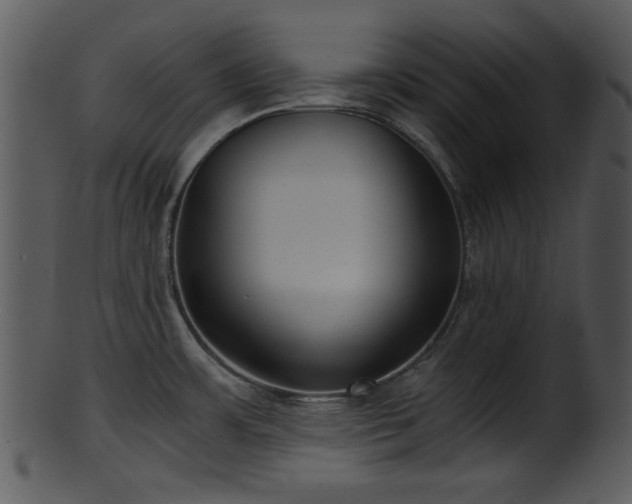 X0000101411483200807141119
