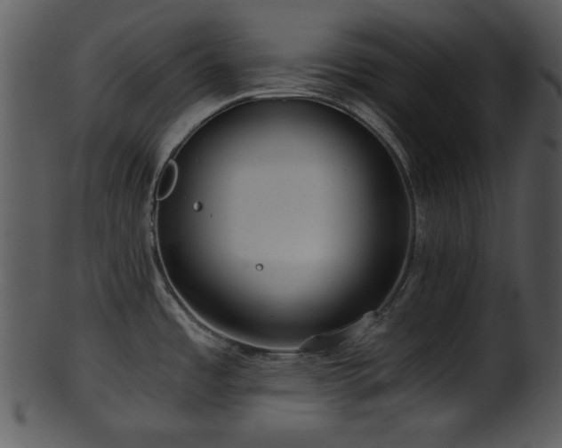 X0000101411485200807141119