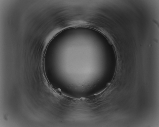 X0000101411488200807141119