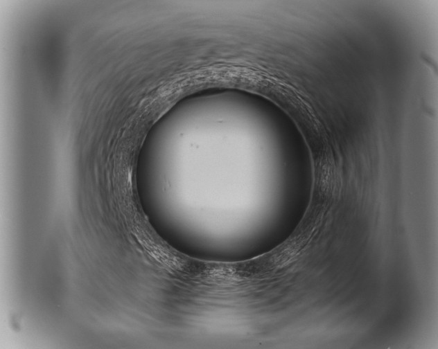 X0000101411489200807141119