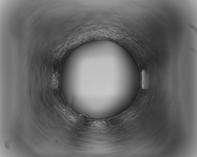 X0000101411491200807141119