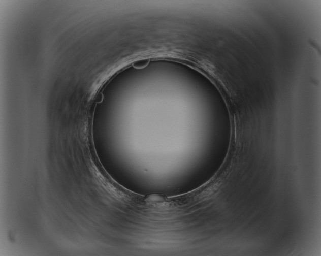 X0000101411500200807141119