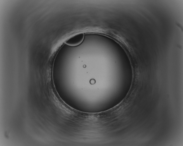 X0000101411504200807141119