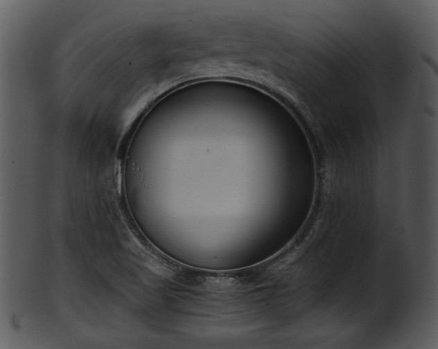 X0000101411509200807141119