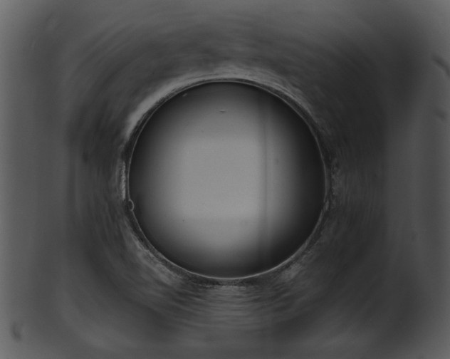 X0000101411510200807141119