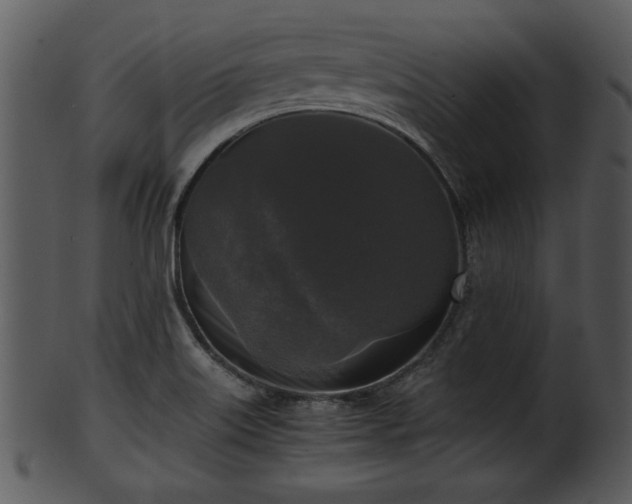 X0000101411515200807141119
