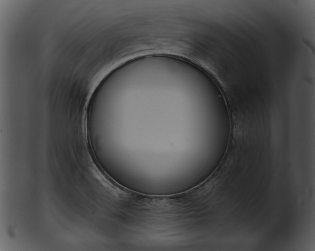 X0000101411516200807141119
