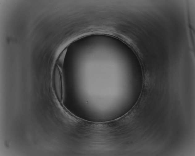 X0000101411520200807141119