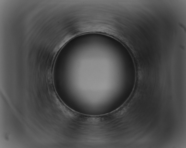 X0000101411521200807141119