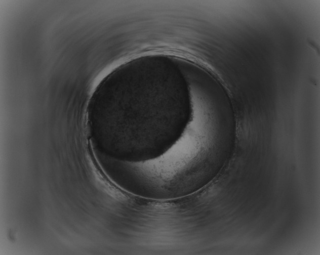 X0000101411522200807141119