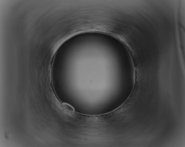 X0000101411524200807141119