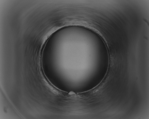 X0000101411525200807141119