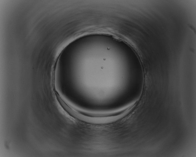 X0000101411528200807141119