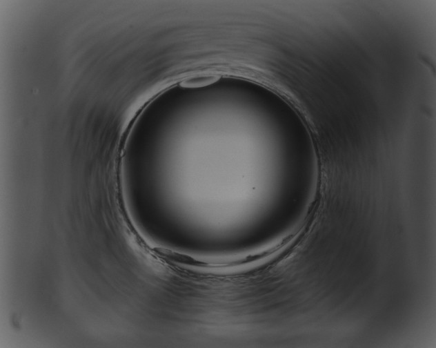 X0000101411530200807141119