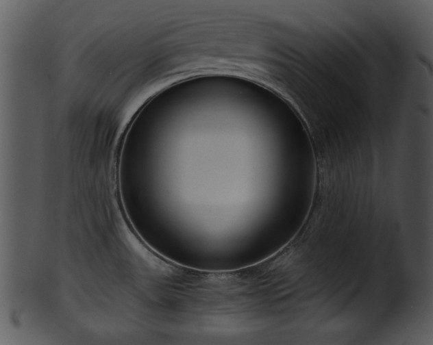 X0000101411531200807141119