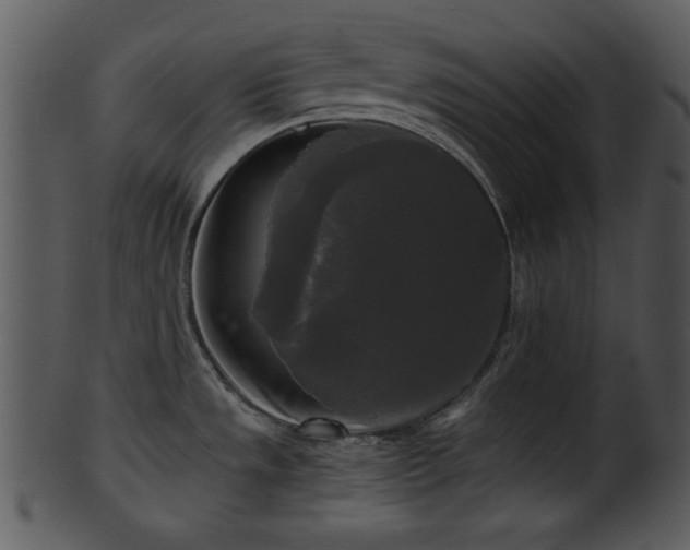 X0000101411533200807141119