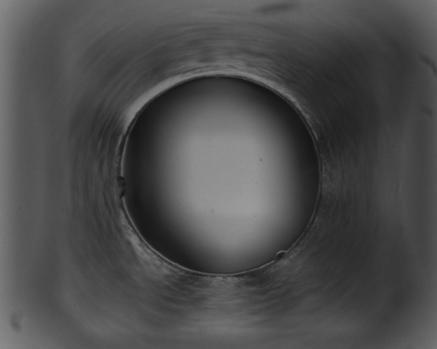 X0000101411534200807141119