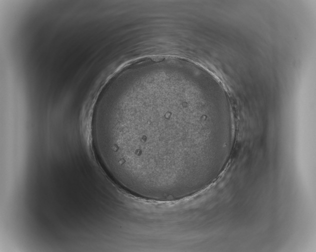 X0000101410002200807211105