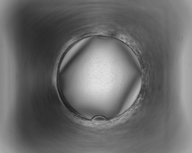 X0000101410003200807211105