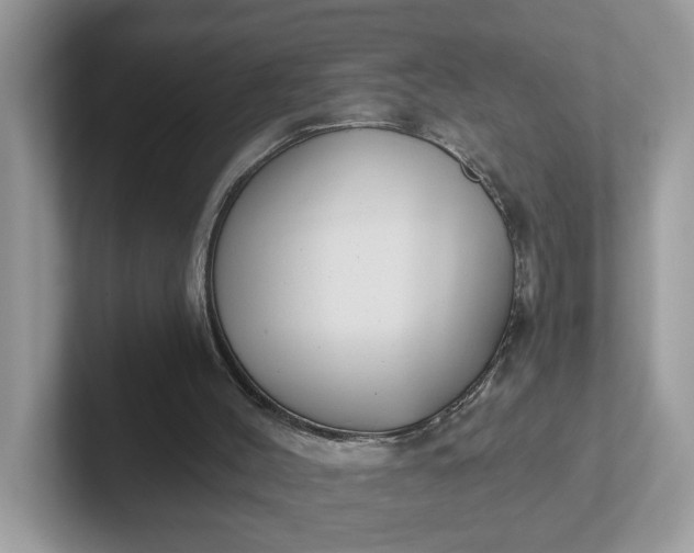 X0000101410004200807211105