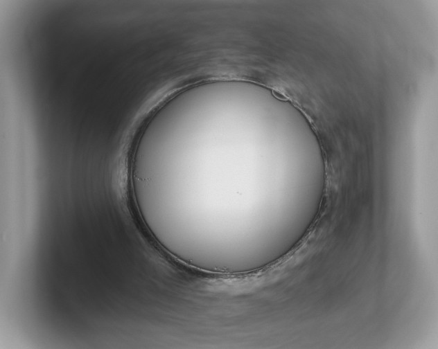 X0000101410005200807211105