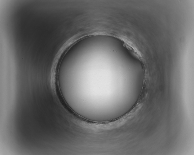 X0000101410007200807211105