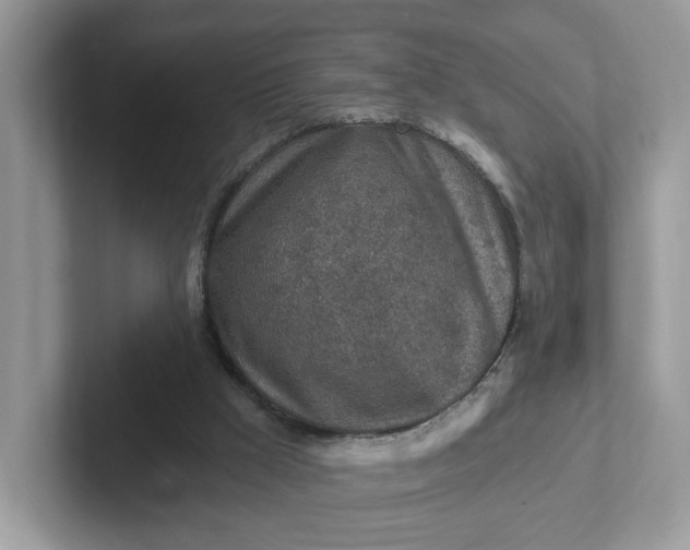 X0000101410009200807211105