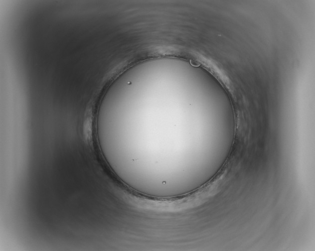 X0000101410010200807211105