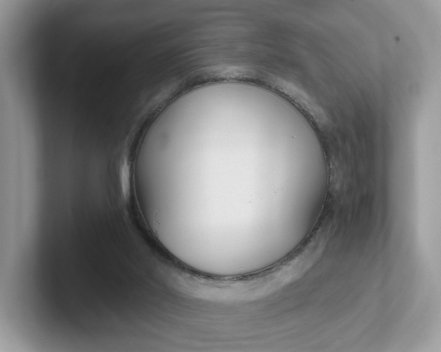 X0000101410014200807211105