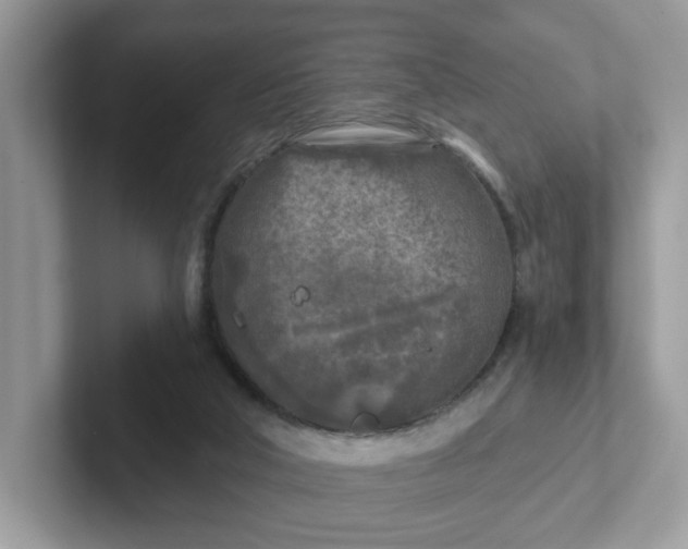 X0000101410018200807211105