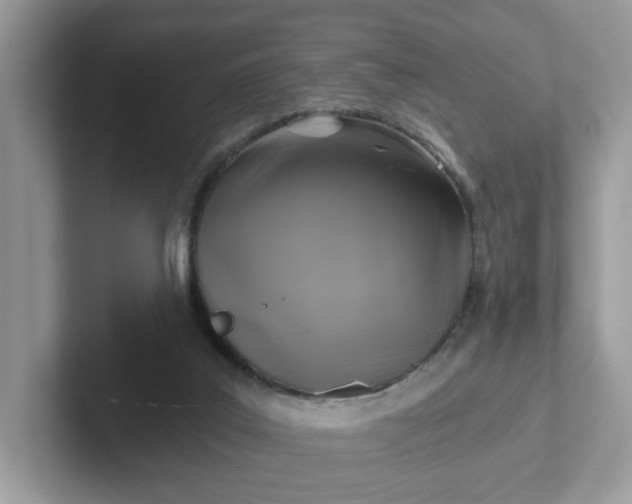 X0000101410019200807211105