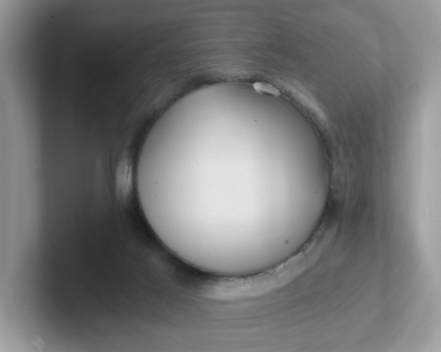 X0000101410021200807211105