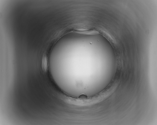 X0000101410022200807211105