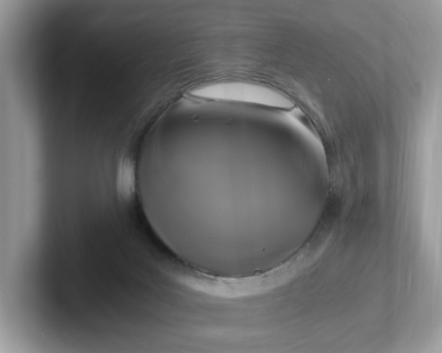 X0000101410027200807211105