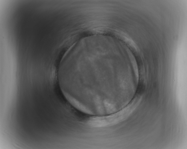 X0000101410029200807211105