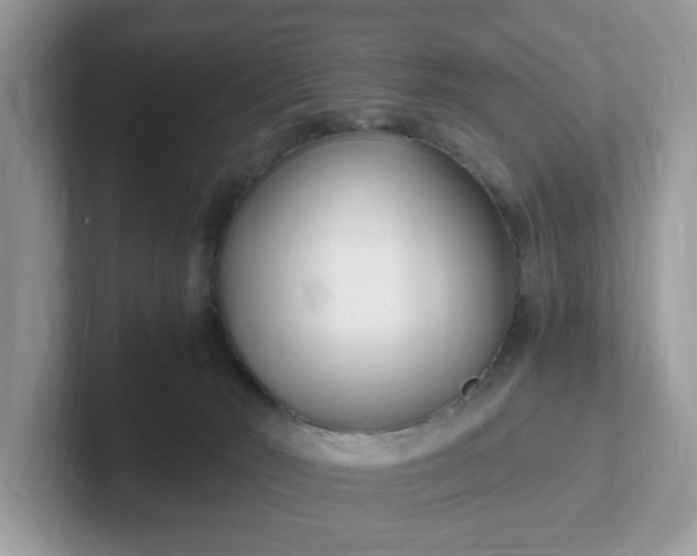 X0000101410030200807211105