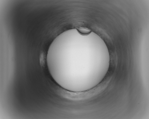 X0000101410038200807211105