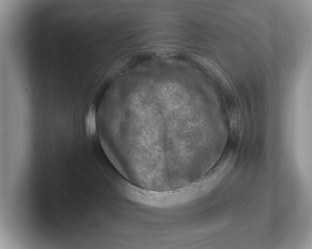 X0000101410046200807211105