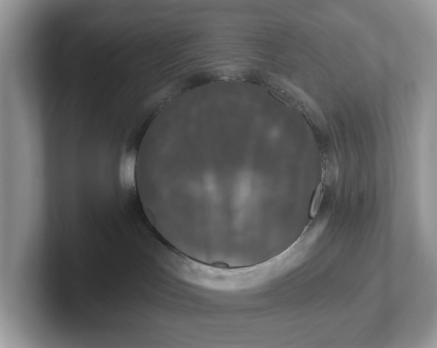 X0000101410047200807211105