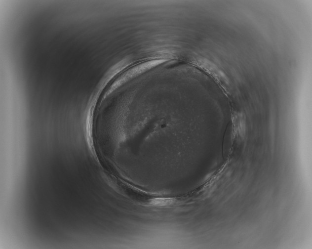 X0000101410051200807211104