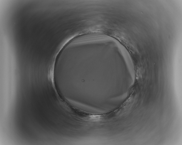 X0000101410052200807211104