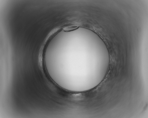 X0000101410054200807211104